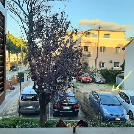 Lägenhet 